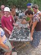 IMG_5223