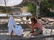 IMG_5239